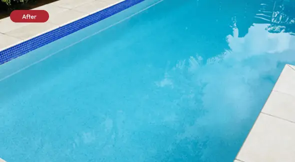 Clean Pool In Under